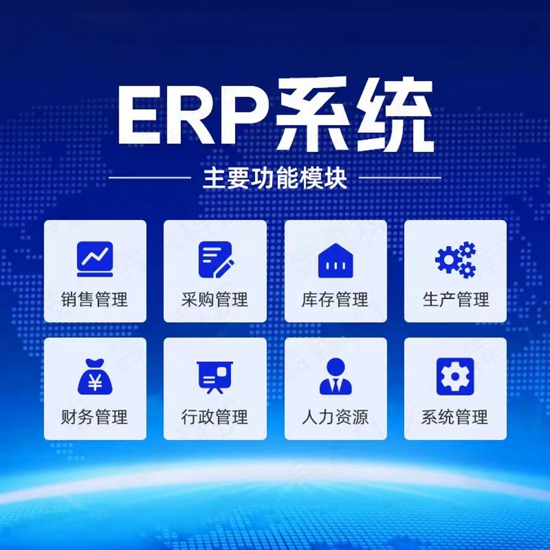 企业软件定制开发：打造高效工作引擎
